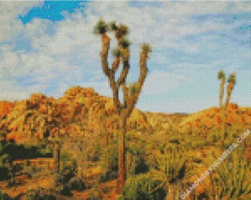 diamond paintings