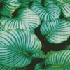 beautiful leaves diamond paintings