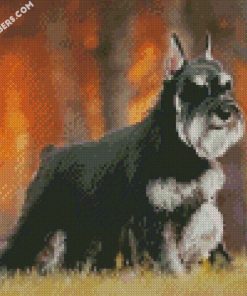 black anf grey schnauzer diamond paintings