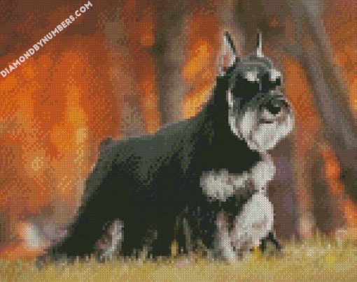 black anf grey schnauzer diamond paintings