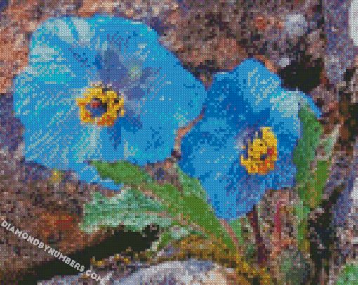 diamond painting