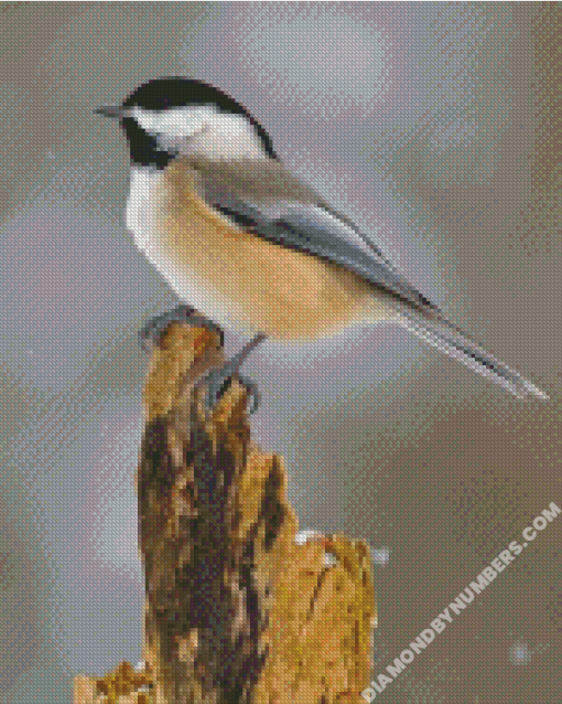 diamond painting