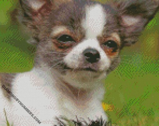 diamond painting