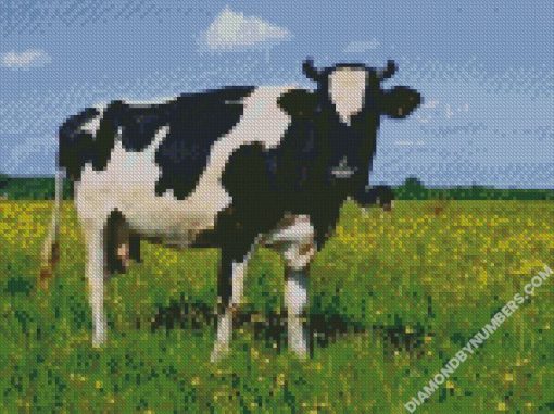 diamond painting