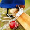 Cricket Essentials Paint by numbers
