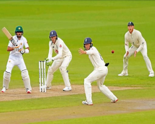 Cricket Team Paint by numbers