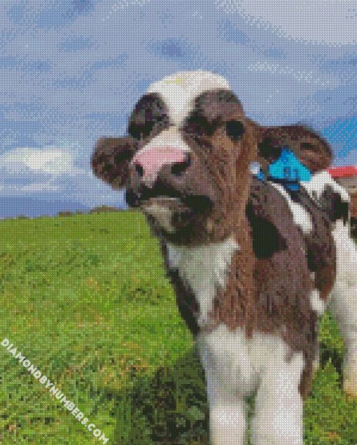 cute baby cow diamond paintings