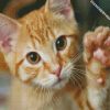 cute tabby cat diamond painting