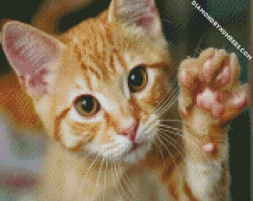 cute tabby cat diamond painting
