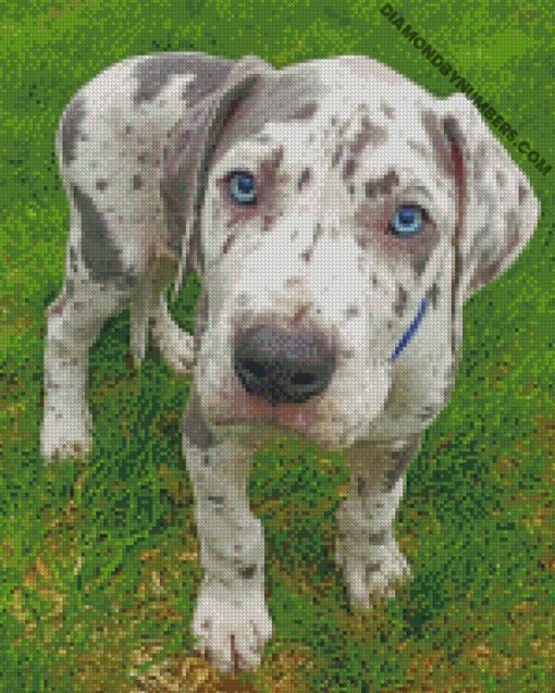 diamond painting