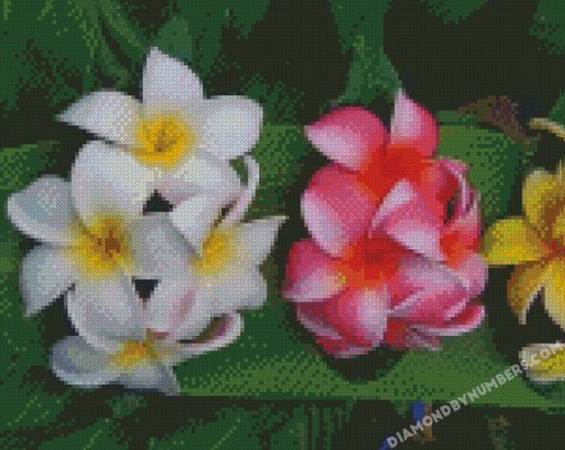 diamond painting