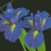 diamond painting