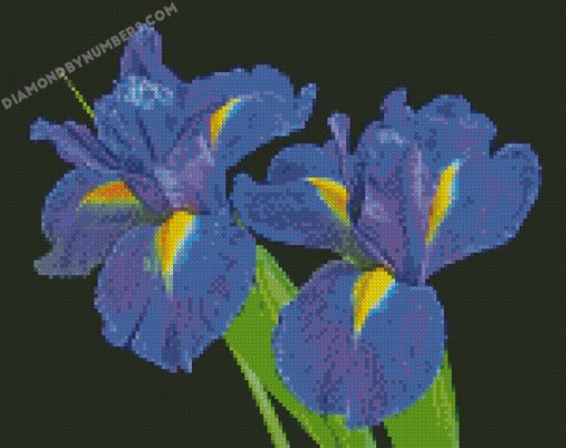 diamond painting
