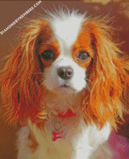 king charles cavalier diamond paintings