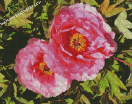 diamond painting