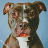 pit bull dog diamond painting
