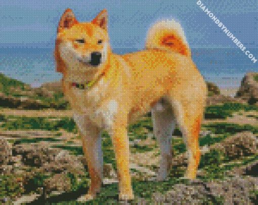 shiba inu diamond paintings