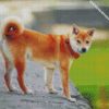 shiba inu japanese dog diamond paintings