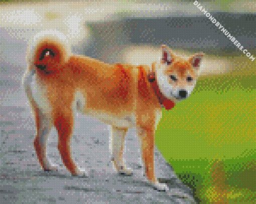 shiba inu japanese dog diamond paintings