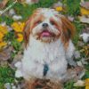 shih tzu puppy diamond painting