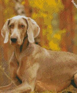 weimaraner pet diamond paintings