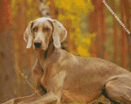 weimaraner pet diamond paintings