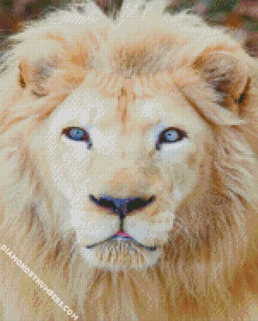 white lion with blue eyes diamond painting