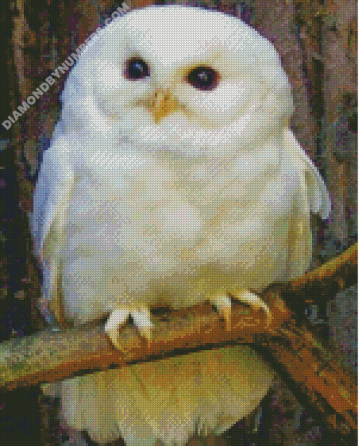 Diamond Painting