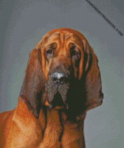 diamond paintings