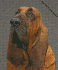 diamond paintings