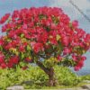 Bougainvillea bonsai diamond painting