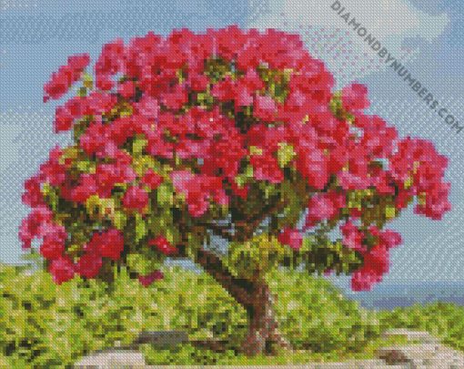Bougainvillea bonsai diamond painting