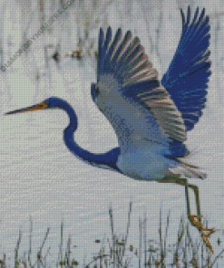 Diamond Painting
