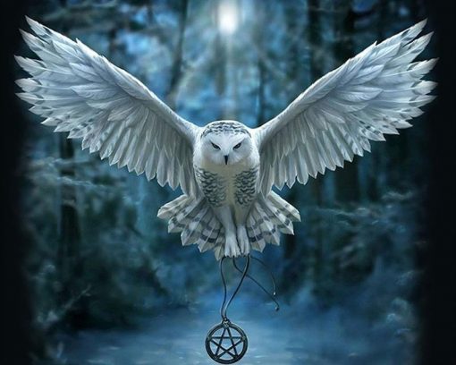 Dangerous White Owl paint by numbers