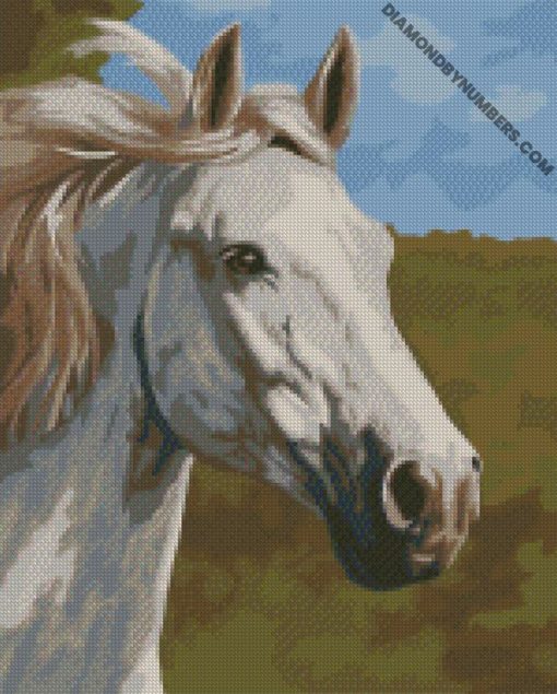 diamond painting