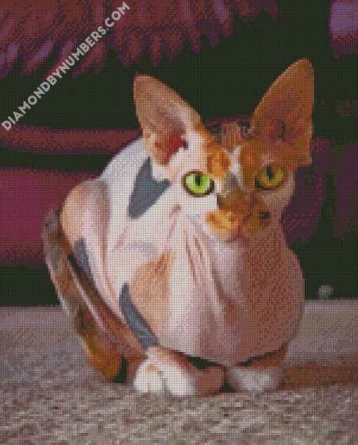 aesthetic sphynx cat diamond painting