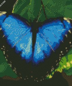 diamond paintings