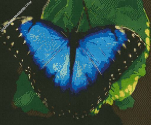 diamond paintings