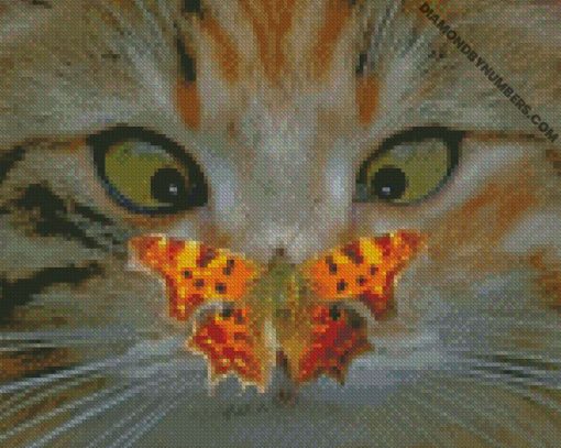 diamond paintings