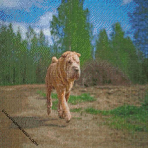diamond paintings