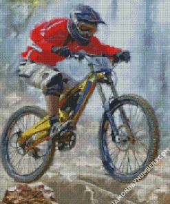 cool mountain biker diamond painting