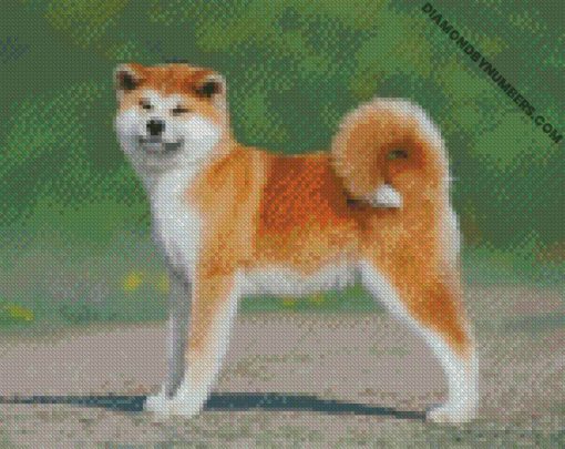 diamond painting