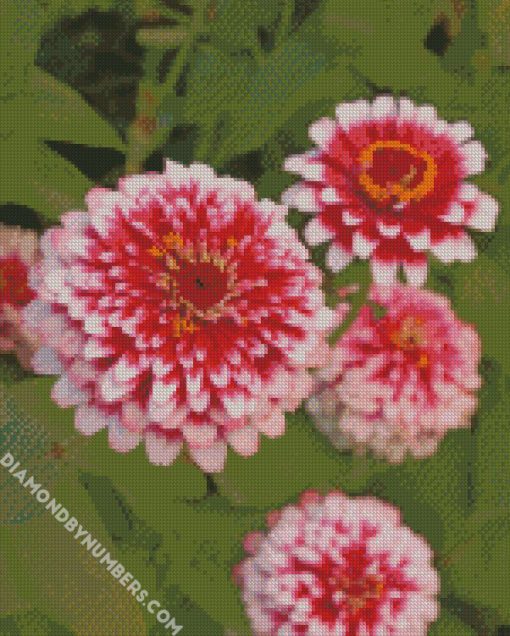 dragon zinnias diamond painting