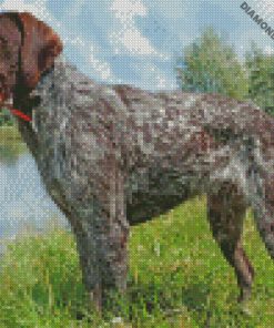 diamond paintings
