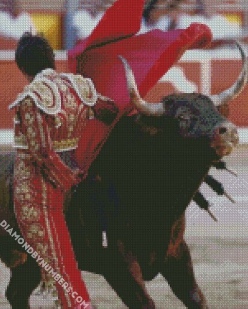 latino bullfighter diamond paintings