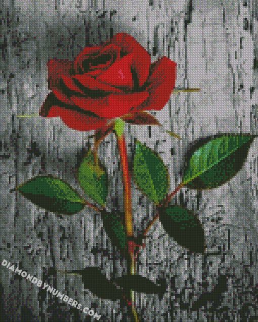 diamond painting