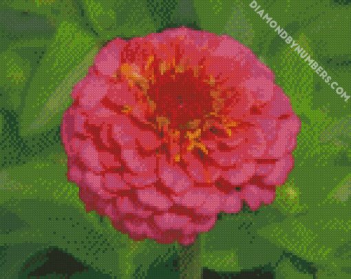 pink zinnias diamond paintings
