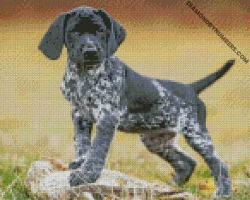 diamond painting