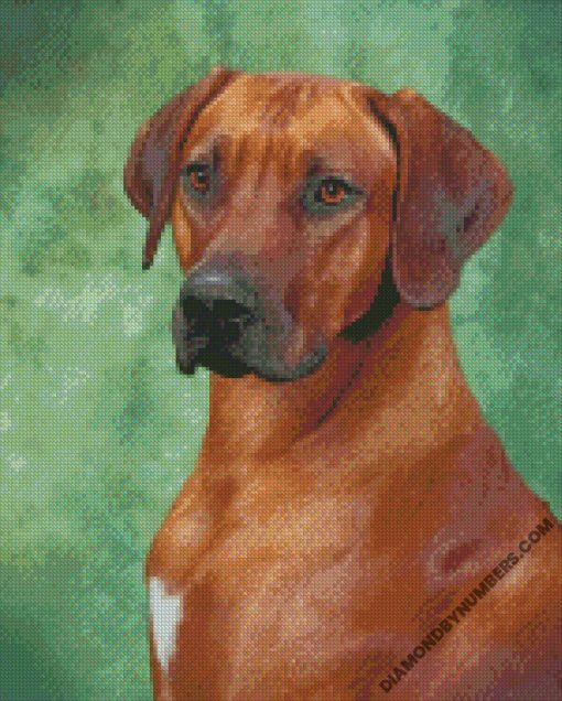 diamond painting