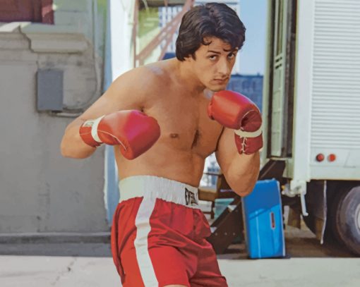 Rocky Paint by numbers